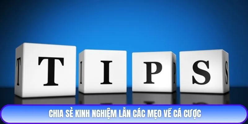 Chia sẻ kinh nghiệm lẫn các mẹo về cá cược