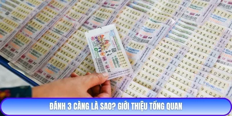 Đánh 3 càng là sao? Giới thiệu tổng quan