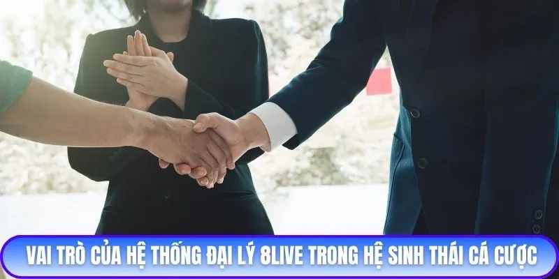 Vai trò của hệ thống đại lý 8live trong hệ sinh thái cá cược